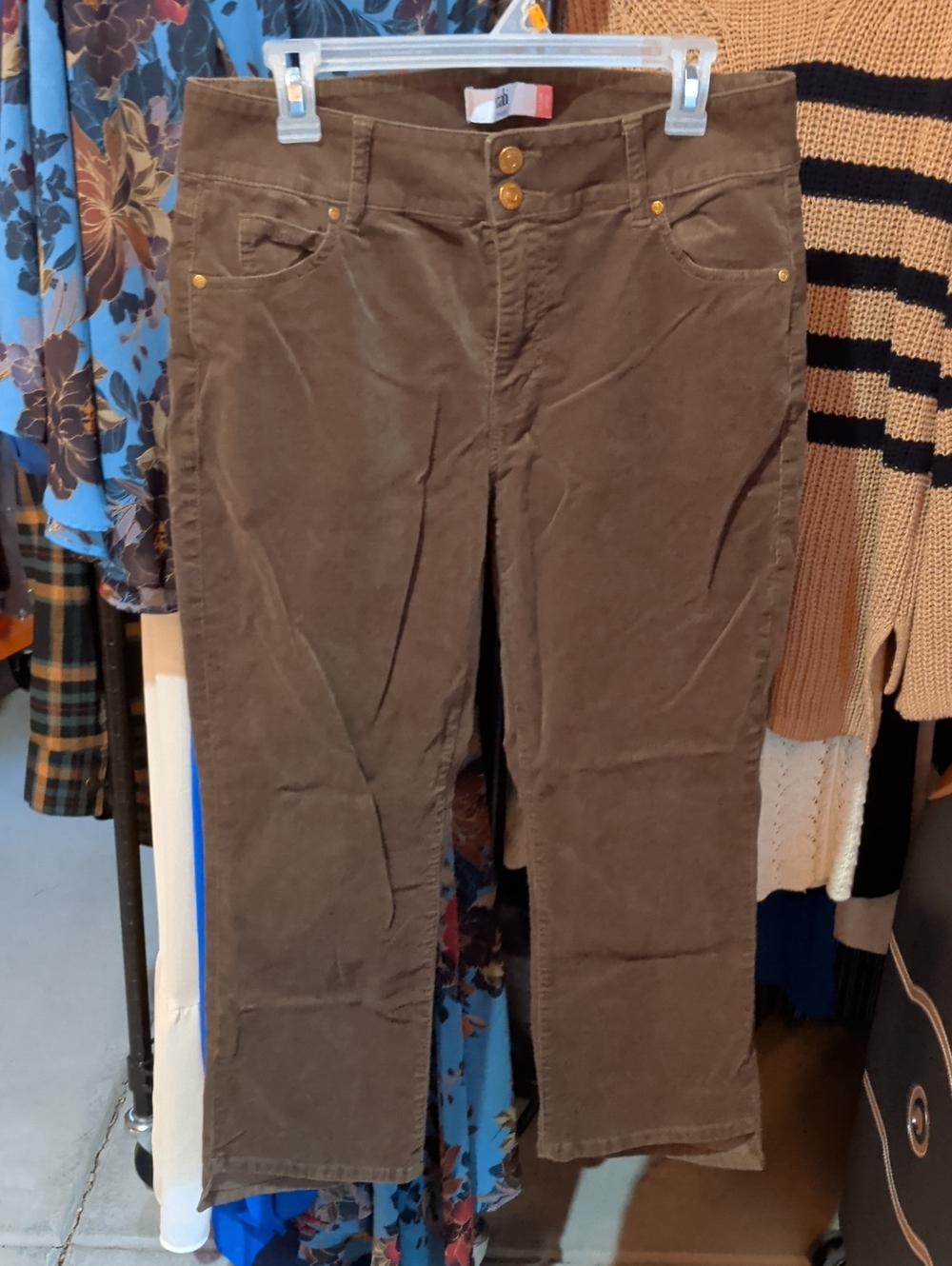 CAbi Straight-Leg Jeans in Moss